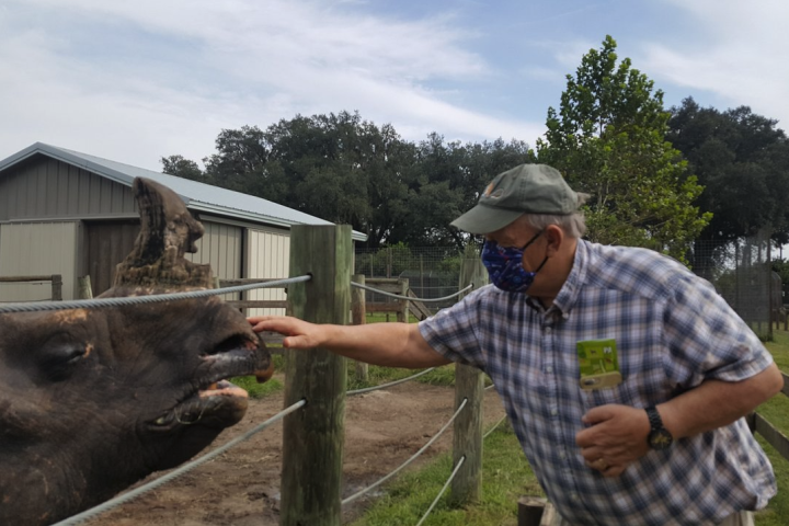 a boy feeding a giraffe at a zoo