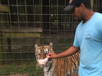 a man holding a cat in a cage