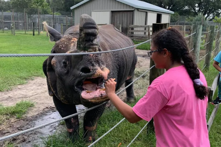 a man standing next to a fence