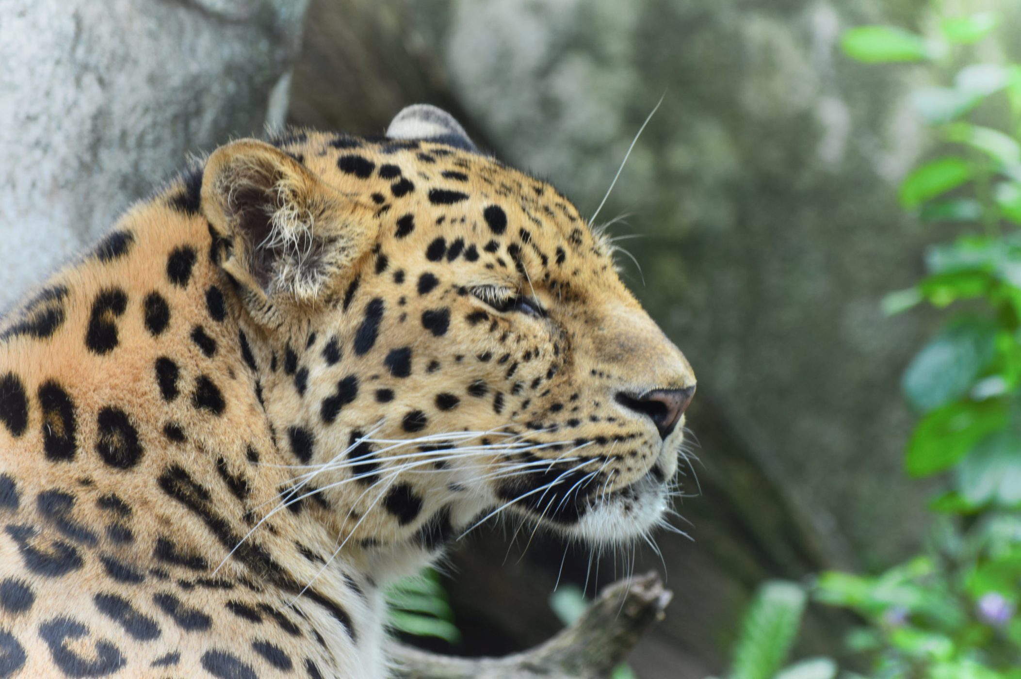 About Us | Carson Springs Wildlife